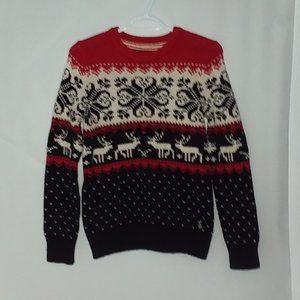 reindeer/ski beautiful winter  sweater